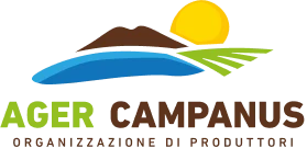 O.P. Ager Campanus